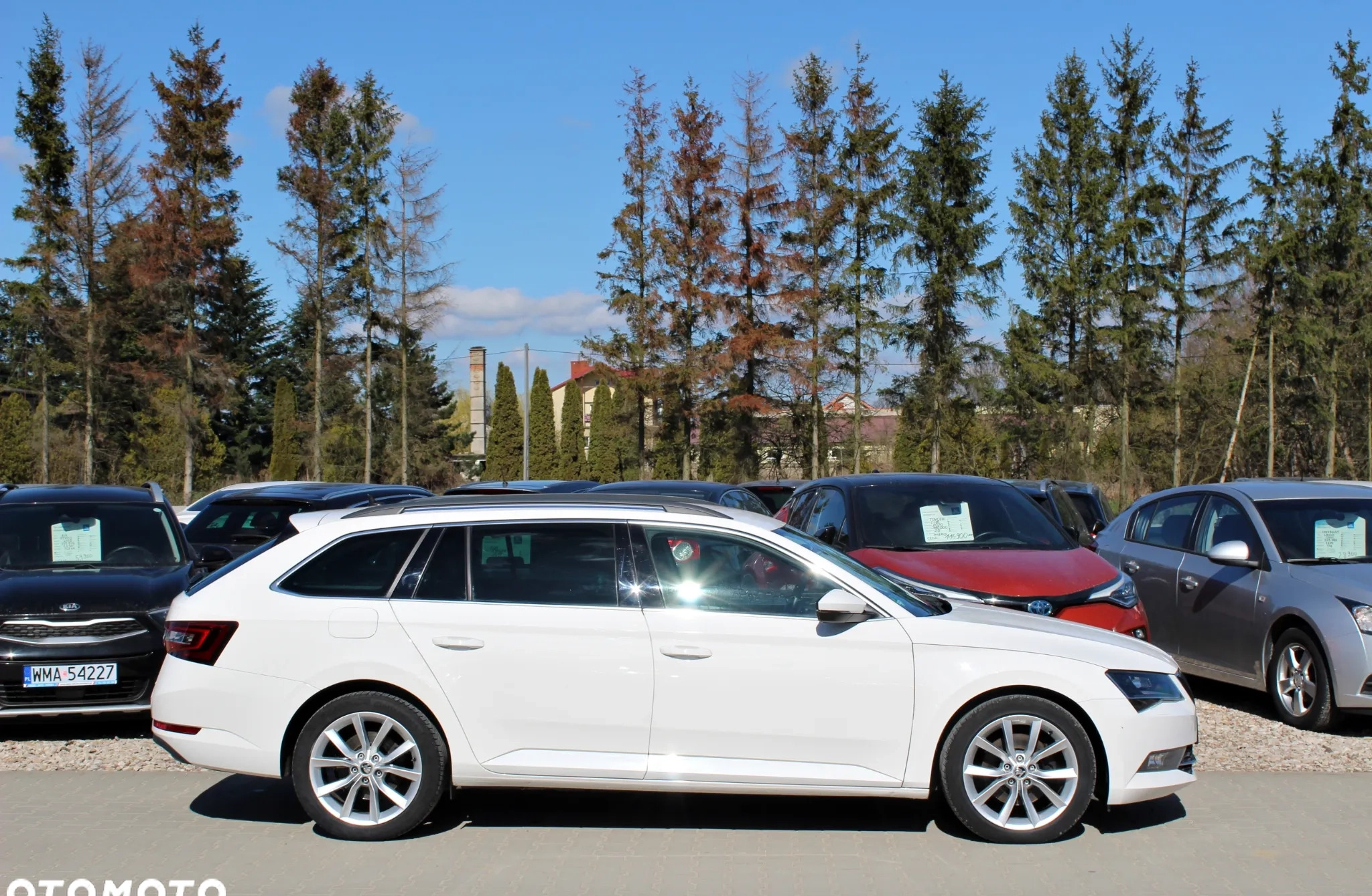 Skoda Superb cena 99507 przebieg: 135000, rok produkcji 2019 z Ostrów Lubelski małe 352